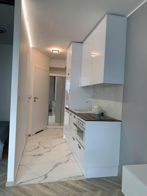 Olin Apartament A -Gdansk Angielska Grobla Exteriér fotografie